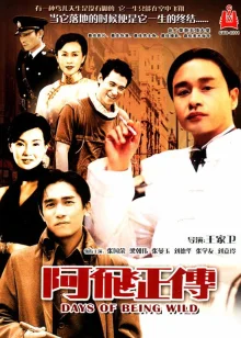 Дикие дни (1990)