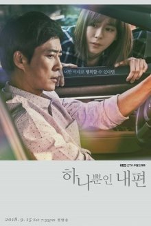 Мой прекрасный союзник (2018)