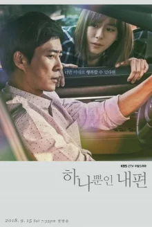 Мой прекрасный союзник (2018)