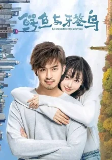 Крокодил и птица ржанка (2019)