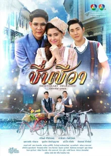 Восхитительная жизнь (2016)