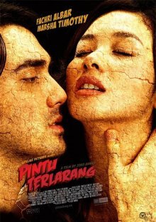 Запретная дверь (2009)