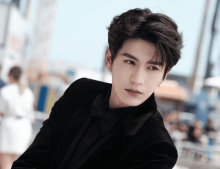 Чжан Лин Хэ. Новая суперзвезда Франции