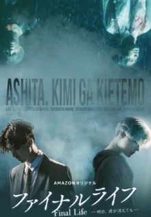 Последняя жизнь (2017)