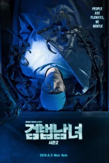 Парочка следователей 2 (2019)