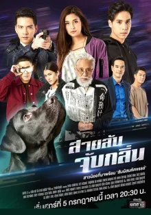 Ищейка (2019)
