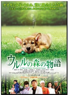 Чудесный лес Улулу (2009)