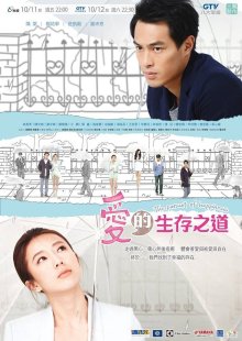 Погоня за счастьем (2013)