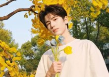 Чжан Лин Хэ. Как одна фраза привела к безобразному скандалу