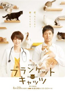 Коты в одеялках (2017)