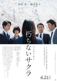 Вечная сакура (2024)