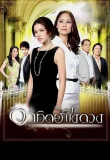 Кровная вражда (2009)