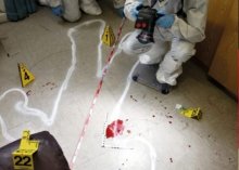 ЕХО… Маленькая жизнь, прожитая зря…