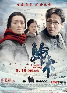 Возвращение домой (2014)