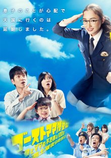 Расследование мамы-призрака (2012)