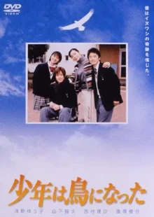 Мальчик, который стал птицей (2001)