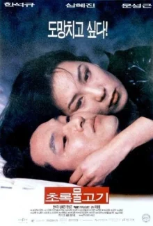 Зеленая рыба (1997)