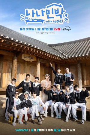 Гостевой дом НаНа с Seventeen (2025)
