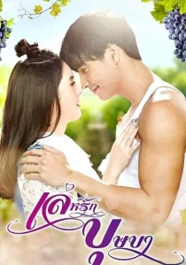 Пьянящее заблуждение (2018)