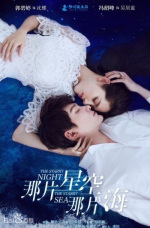 Звездная ночь, звездное море (2017)