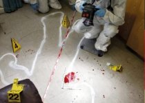 ЕХО… Маленькая жизнь, прожитая зря…