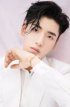 Ван Цзы И / Boogie Wang / Wang Zi Yi