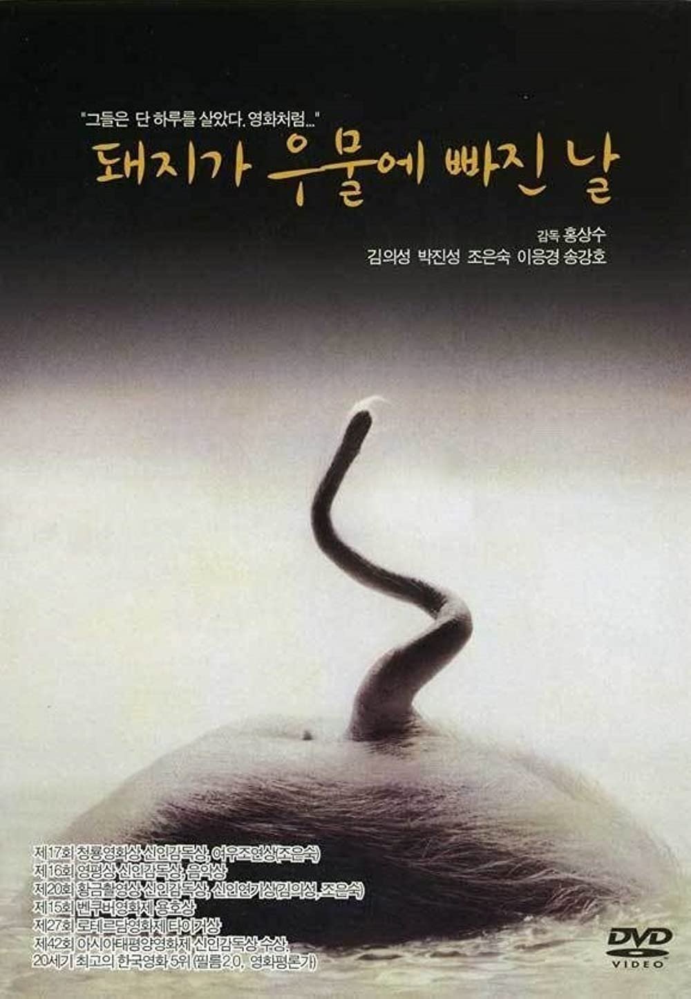 День, когда свинья упала в колодец (1996)