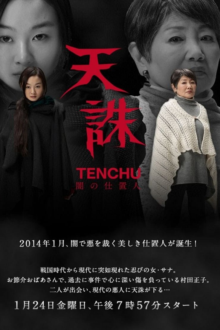 Божественная кара (2014)